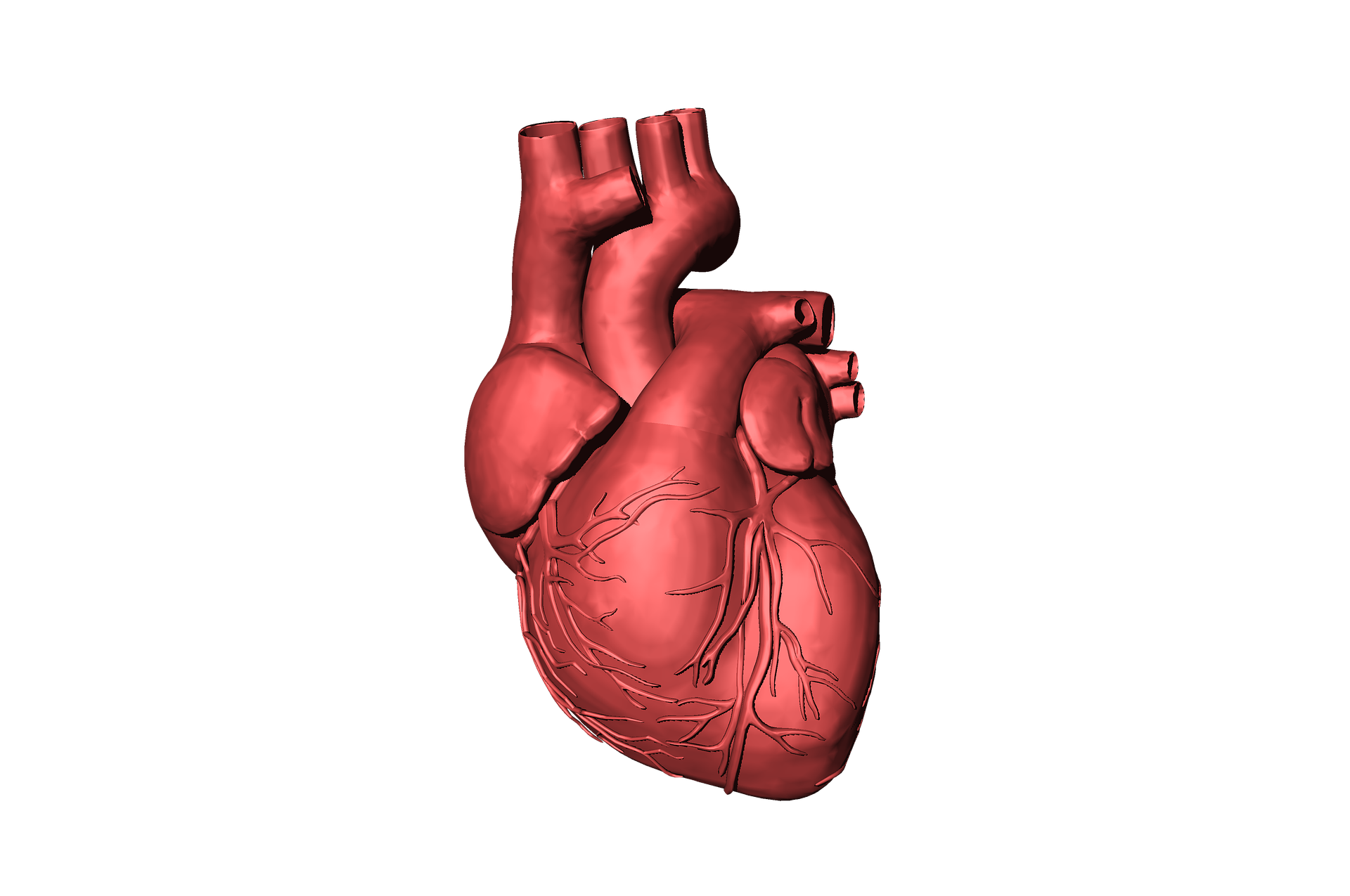 3530416-heart-1765298_1920.png